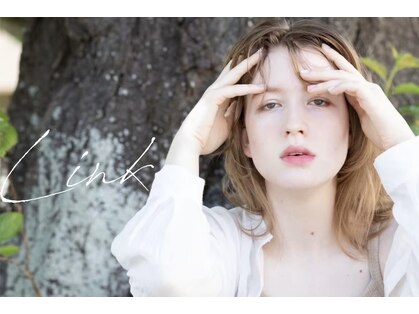 リンク(Link)の写真