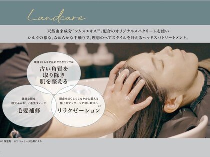 ザナドゥー 上野店(Xanadu)の写真