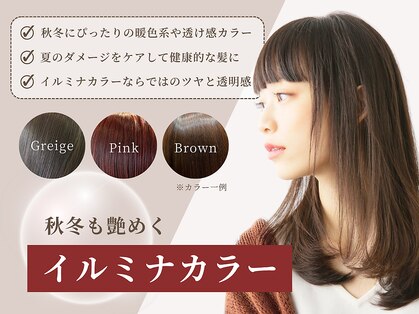 ルータス(loutus)の写真