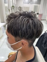 バックドロップ(Back Drop)&nbsp;シルバーメッシュ