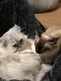 エンライズハナレ(en rise hanare)&nbsp;愛猫と暮らしています♪