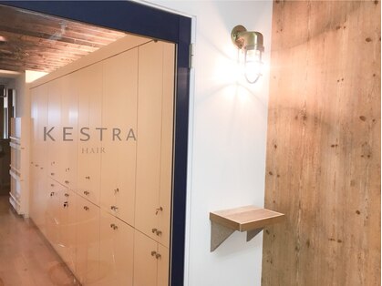 ケストラ(KESTRA)の写真