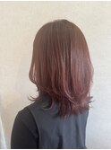 大人ミディアムレイヤー