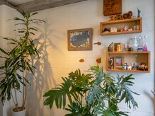 植物に囲まれた店内でホッと一息、心地の良いお時間を・・