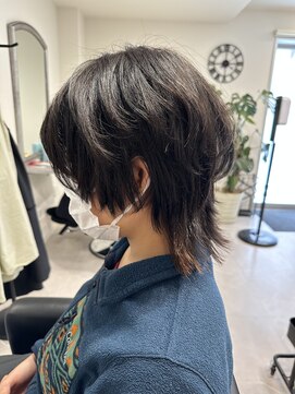 ガーベラ(gerbera) マッシュウルフ♪