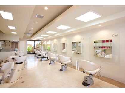 クール ヘアー セッション 本町店(COOL Hair session)の写真