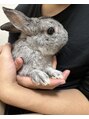オーブ ヘアー ラテ 広島3号店(AUBE HAIR latte)&nbsp;お家でうさぎを飼ってます。