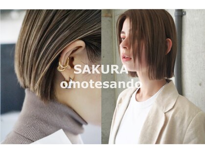 サクラ オモテサンドウ(SAKURA)の写真