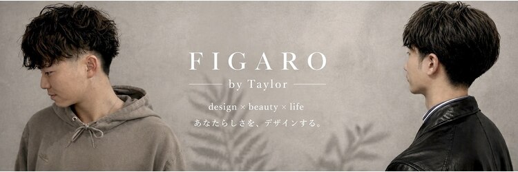 フィガロ バイ テイラー(FIGARO by Taylor)のサロンヘッダー