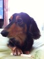 エフ アヴェダ 木の葉モール橋本(F AVEDA)&nbsp;犬と子供が好きです！kids cutお待ちしてます！