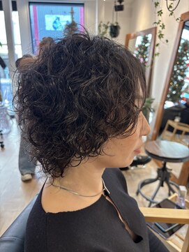 フリー(Free) プードルパーマ【平塚・秦野・二宮・小田原・茅ヶ崎】