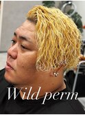 ワイルドパーマ