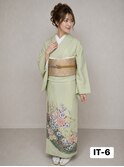 レンタル色留袖IT-6