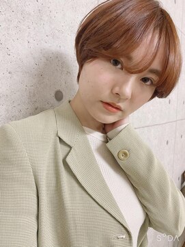 シェリッシュ ノース(Sheriche North) マニッシュショート