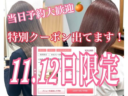 オレンジ(orange)の写真