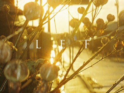 レフ(LEF)の写真