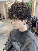 【LOVEST服部】プードルパーママッシュ/ダークアッシュ