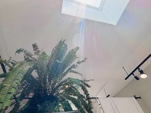 スカラ(SCALA)の雰囲気（穏やかな光が降り注ぐ店内）