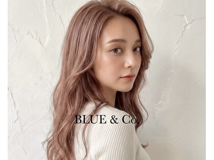 ブルーアンドカンパニー(BLUE&Co.)の写真