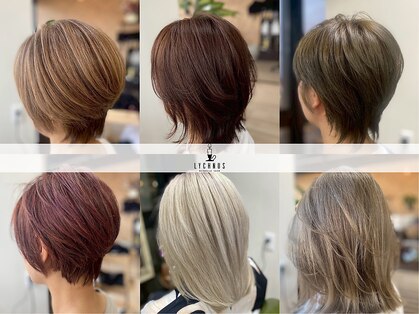 リクノス(Lychnus)の写真