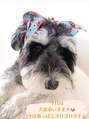 セルカ 新宿(CERCA)&nbsp;愛犬と過ごす時間が幸せです☆@yoshito_hairarrange【新宿西口】