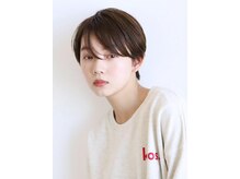 コットン(cotton)