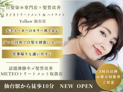 イエロー(Yellow)の写真