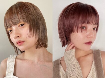 ノーム(norm)の写真