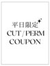 平日限定◆似合わせカット+うる艶デジタルパーマ ￥7700 / TR付き￥8900