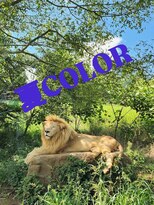 シャルシェ(Chercher) 夏COLOR