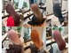 ニュースエン(newseN:)の写真