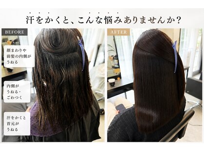 クローブ(CLOVE)の写真