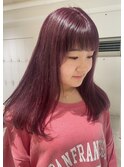 ピンクラベンダー