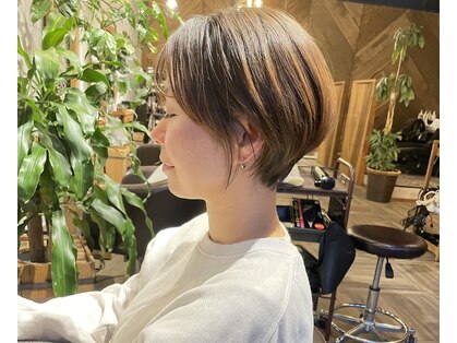 ヘアードレスビュー(hair dress V.I.E.W)の写真