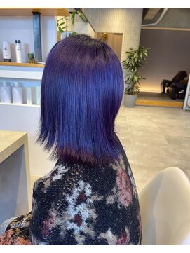 ローゼル(roselle) バイオレットミディアム