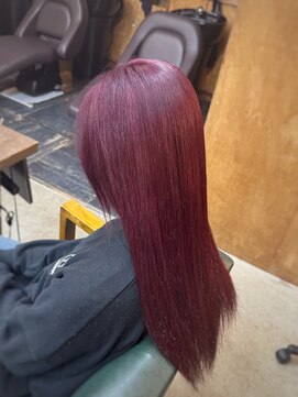 ロルド シェリ(Rold Cheri) 【山本智文】ボルドレッドカラー