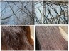 髪質改善トリートメント＋頭皮改善プログラム【髪質改善/頭皮改善】