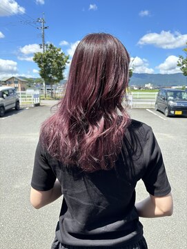 アンカーデイズ(Anchor Days) cassis purple