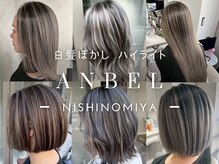 アンベル(ANBEL)