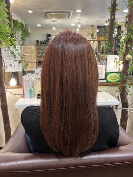 五感鷹匠 髪の診療所 うるツヤ髪を手に入れませんか?