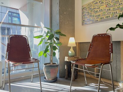 カサネ(casane)の写真