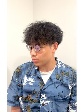 ヴェロ 福井(VeRO) バサっとツヤなしドライプードル