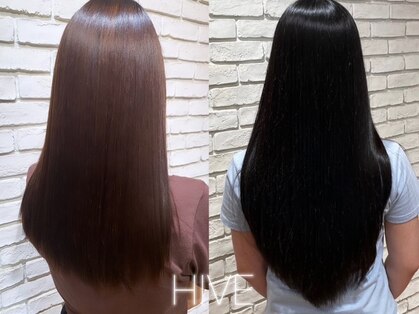 ハイブ(HIVE)の写真