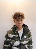 プードルパーマ