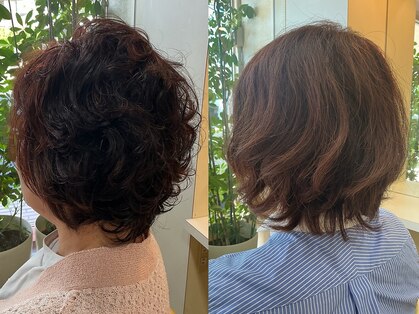 サロンちゃんの写真