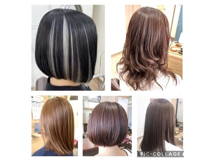 シードヘア(seed hair)の写真
