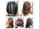 シードヘア(seed hair)の写真