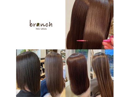 ブランチ(branch)の写真