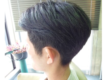 ブルーム(bloom)の写真