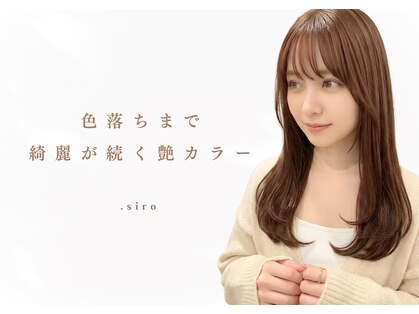 シロ(.siro)の写真